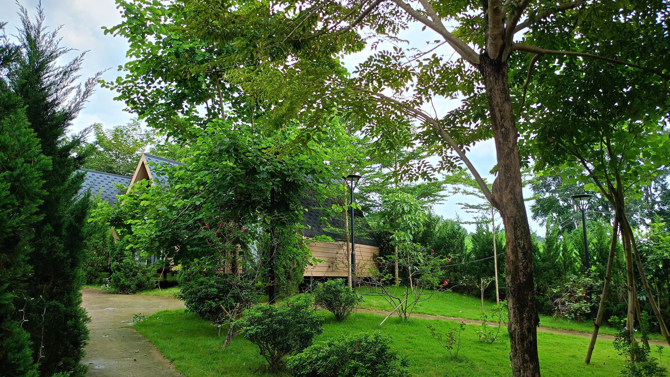 Làng Cao Phong